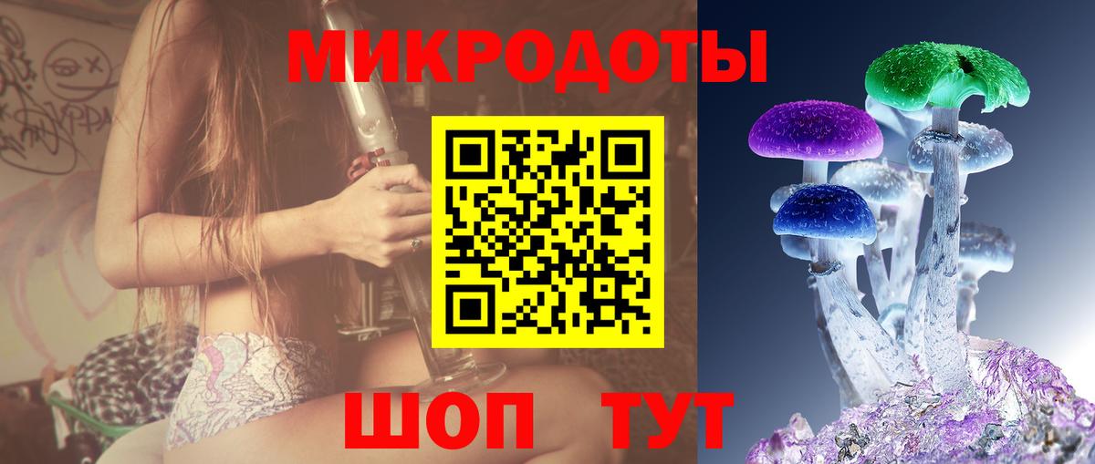 Псилоцибиновые грибы Cubensis Ахтубинск